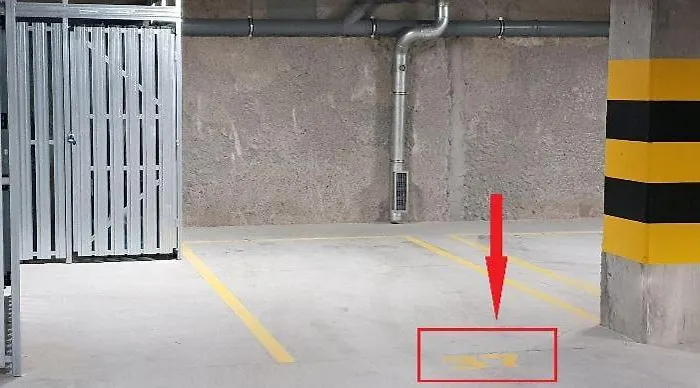 Male Garbary * بوزنان